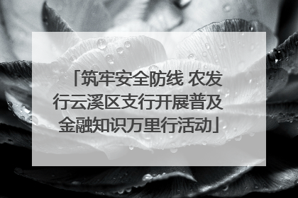 筑牢安全防线 农发行云溪区支行开展普及金融知识万里行活动