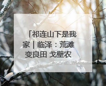 祁连山下是我家｜临泽：荒滩变良田 戈壁农业添“绿”生“金”