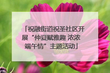 祝融街道祝圣社区开展“仲夏赋雅趣 浓浓端午情”主题活动