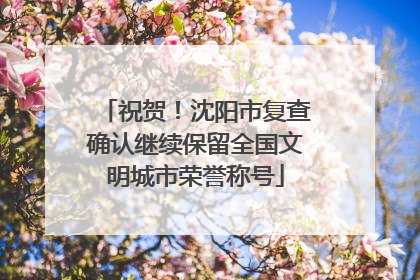 祝贺！沈阳市复查确认继续保留全国文明城市荣誉称号