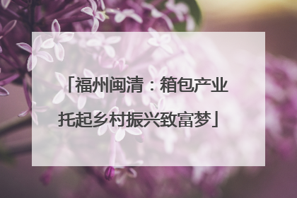 福州闽清：箱包产业托起乡村振兴致富梦