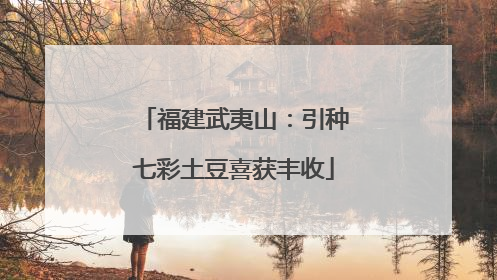 福建武夷山：引种七彩土豆喜获丰收