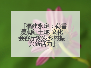 福建永定：荷香浸润红土地 文化会客厅焕发乡村振兴新活力
