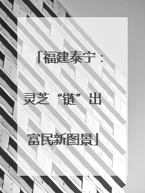 福建泰宁：灵芝“链”出富民新图景