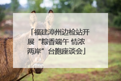 福建漳州边检站开展“粽香端午 情浓两岸”台胞座谈会