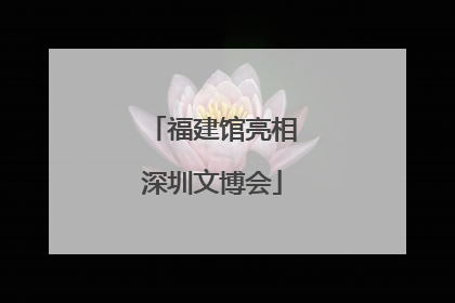 福建馆亮相深圳文博会