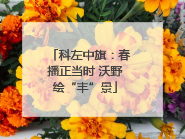 科左中旗：春播正当时 沃野绘“丰”景