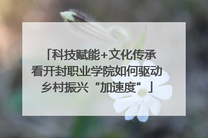 科技赋能+文化传承 看开封职业学院如何驱动乡村振兴“加速度”