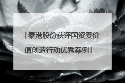 秦港股份获评国资委价值创造行动优秀案例