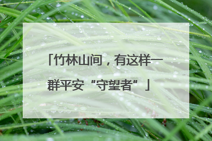 竹林山间，有这样一群平安“守望者”