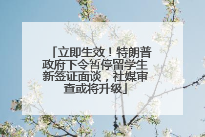 立即生效！特朗普政府下令暂停留学生新签证面谈，社媒审查或将升级
