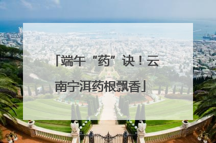 端午“药”诀！云南宁洱药根飘香