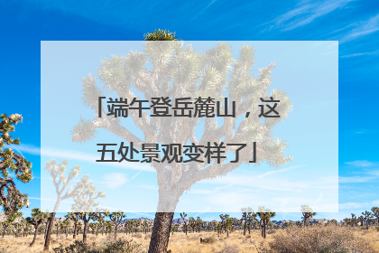 端午登岳麓山，这五处景观变样了