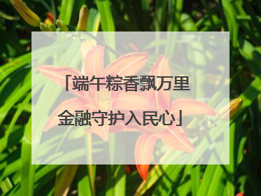 端午粽香飘万里 金融守护入民心