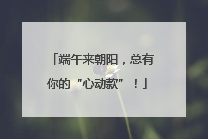 端午来朝阳，总有你的“心动款”！