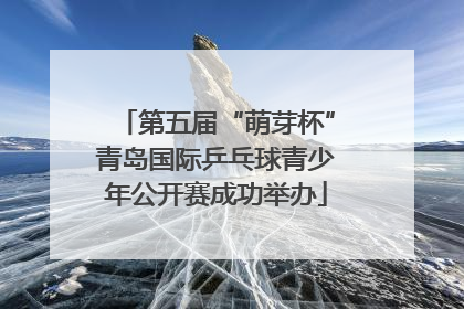 第五届“萌芽杯”青岛国际乒乓球青少年公开赛成功举办