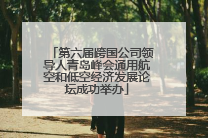 第六届跨国公司领导人青岛峰会通用航空和低空经济发展论坛成功举办