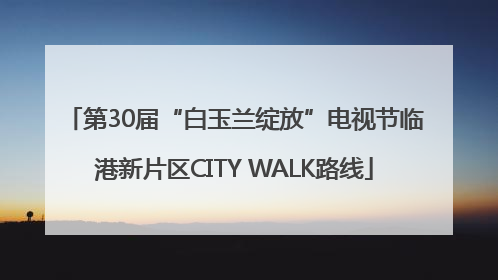 第30届“白玉兰绽放”电视节临港新片区CITY WALK路线