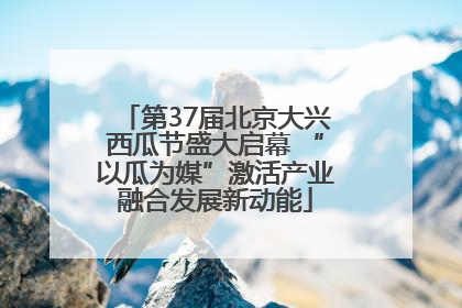 第37届北京大兴西瓜节盛大启幕 “以瓜为媒”激活产业融合发展新动能