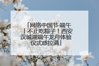 网络中国节·端午丨不止吃粽子！西安汉城湖端午龙舟体验仪式感拉满