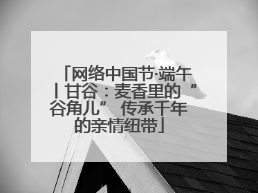 网络中国节·端午丨甘谷：麦香里的“谷角儿” 传承千年的亲情纽带