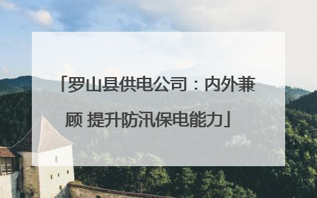 罗山县供电公司：内外兼顾 提升防汛保电能力