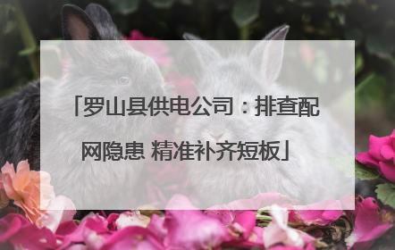 罗山县供电公司：排查配网隐患 精准补齐短板