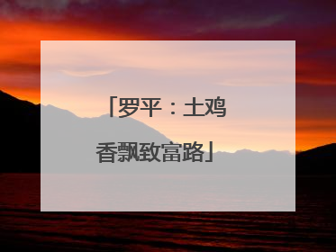 罗平：土鸡香飘致富路