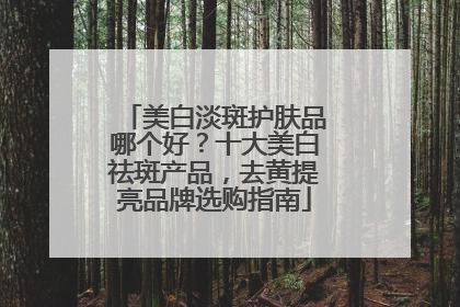 美白淡斑护肤品哪个好？十大美白祛斑产品，去黄提亮品牌选购指南