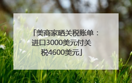 美商家晒关税账单：进口3000美元付关税4600美元