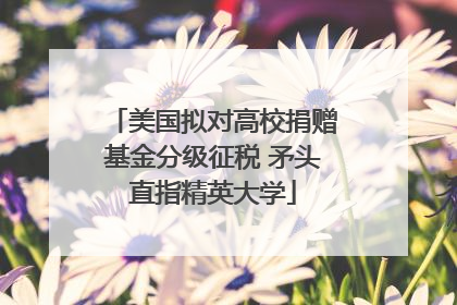 美国拟对高校捐赠基金分级征税 矛头直指精英大学