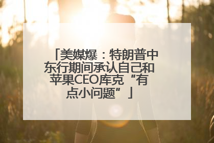 美媒爆：特朗普中东行期间承认自己和苹果CEO库克“有点小问题”