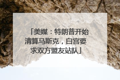 美媒：特朗普开始清算马斯克，白宫要求双方盟友站队