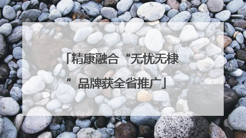 精康融合“无忧无棣”品牌获全省推广
