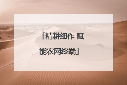 精耕细作 赋能农网终端