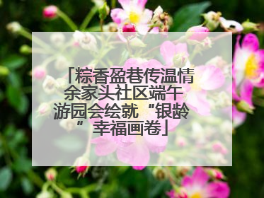 粽香盈巷传温情 余家头社区端午游园会绘就“银龄”幸福画卷
