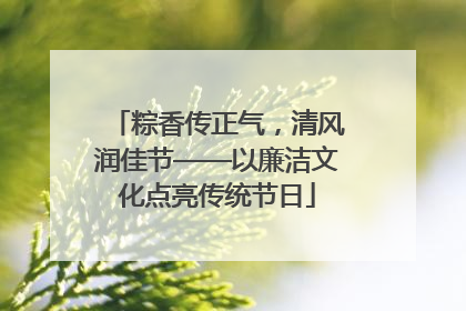粽香传正气，清风润佳节——以廉洁文化点亮传统节日