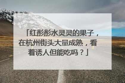 红彤彤水灵灵的果子，在杭州街头大量成熟，看着诱人但能吃吗？