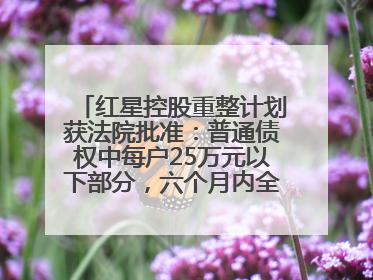 红星控股重整计划获法院批准：普通债权中每户25万元以下部分，六个月内全额现金清偿