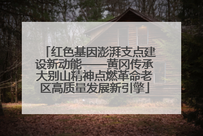 红色基因澎湃支点建设新动能——黄冈传承大别山精神点燃革命老区高质量发展新引擎