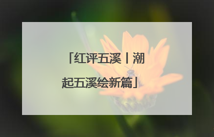 红评五溪丨潮起五溪绘新篇