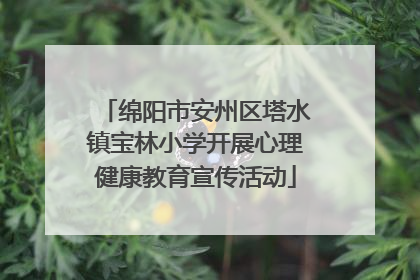 绵阳市安州区塔水镇宝林小学开展心理健康教育宣传活动