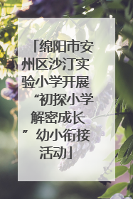 绵阳市安州区沙汀实验小学开展“初探小学 解密成长”幼小衔接活动