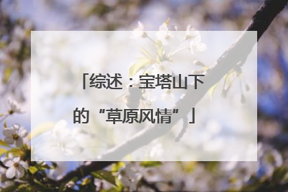 综述：宝塔山下的“草原风情”