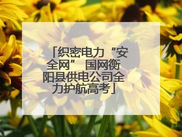 织密电力“安全网” 国网衡阳县供电公司全力护航高考