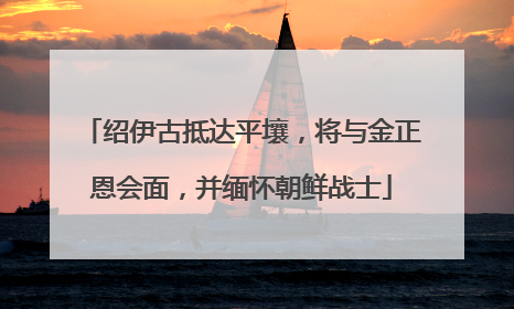 绍伊古抵达平壤，将与金正恩会面，并缅怀朝鲜战士