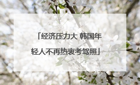 经济压力大 韩国年轻人不再热衷考驾照