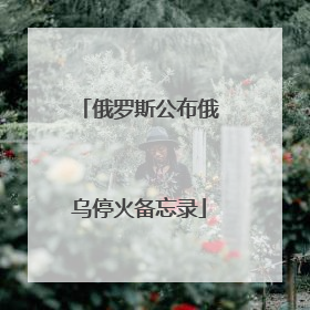 俄罗斯公布俄乌停火备忘录