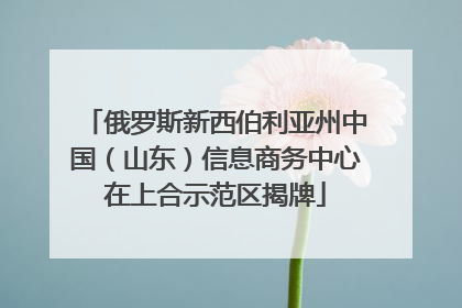 俄罗斯新西伯利亚州中国（山东）信息商务中心在上合示范区揭牌