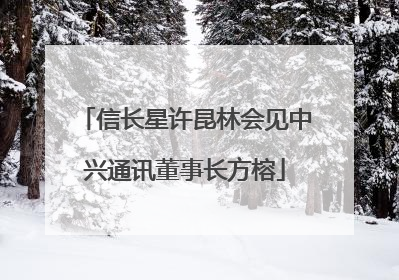 信长星许昆林会见中兴通讯董事长方榕